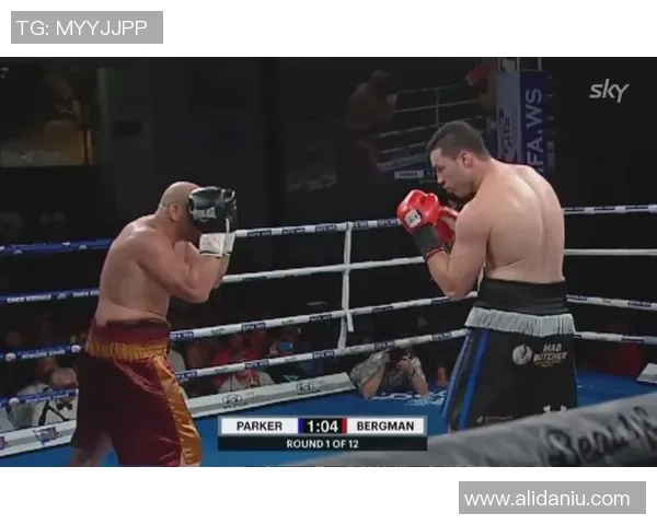 帕克与伯格曼的巅峰对决：篮球场上的传奇碰撞与辉煌时刻